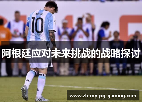 阿根廷应对未来挑战的战略探讨