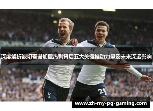 深度解析波切蒂诺加盟热刺背后五大关键推动力量及未来深远影响