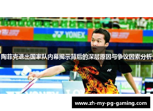 陶菲克退出国家队内幕揭示背后的深层原因与争议因素分析