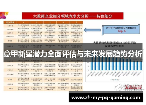 意甲新星潜力全面评估与未来发展趋势分析 意甲新星潜力全面评估与未来发展趋势分析